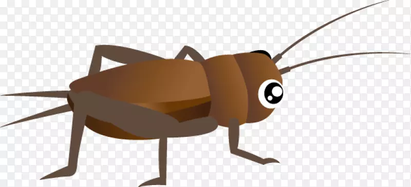 蟑螂夹艺术昆虫蟋蟀png图片.蟑螂