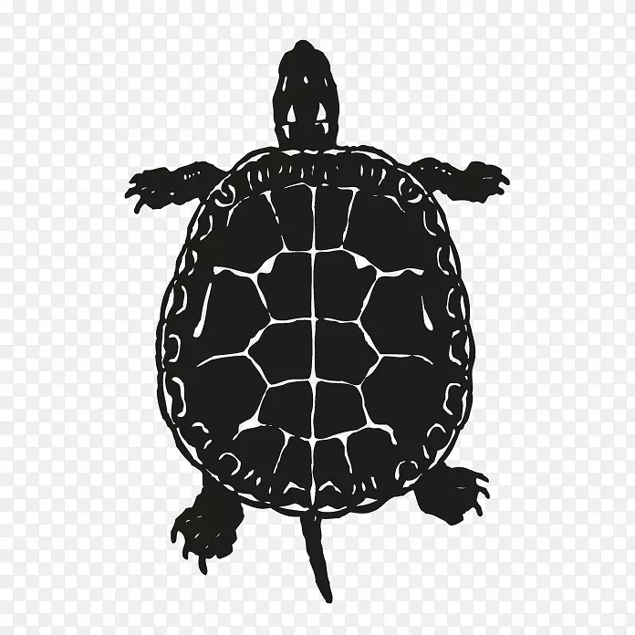 绿海龟剪贴画爬行动物-海龟