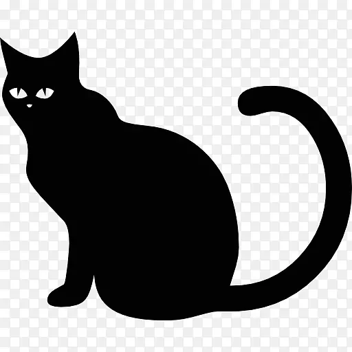黑猫宠物动物收容所-猫
