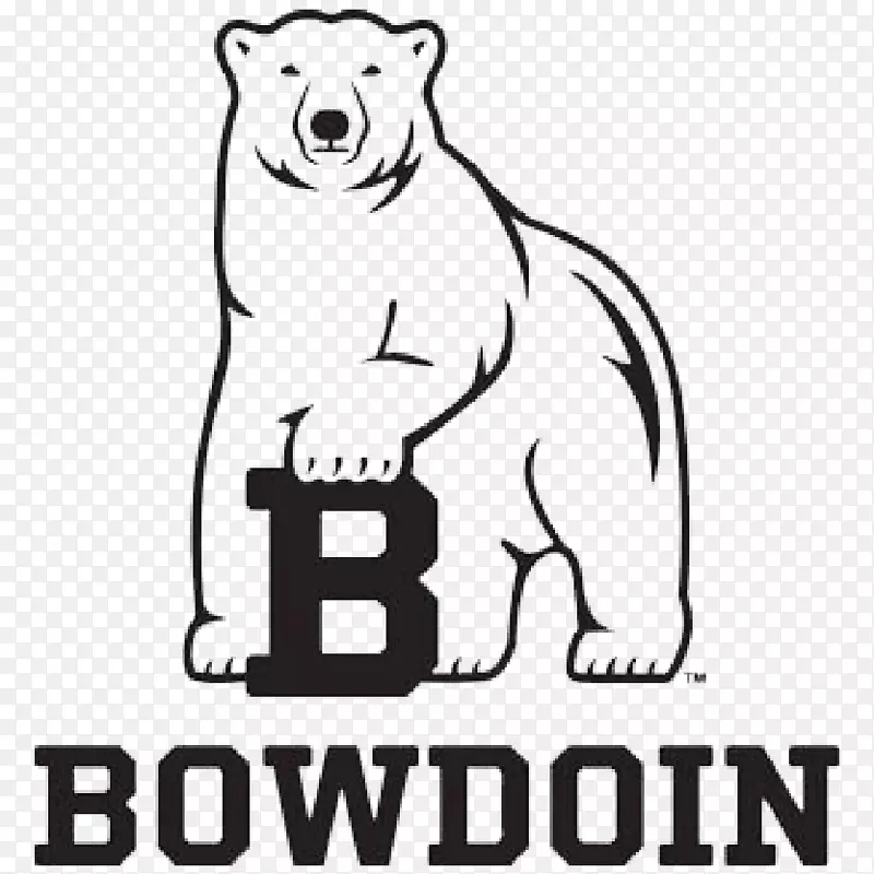 鲍登学院鲍登北极熊足球鲍登北极熊女子篮球-北极熊