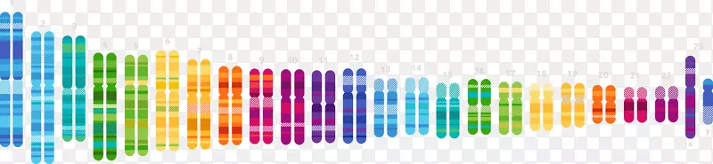 23和Me基因检测遗传学基因组DNA-dna螺旋