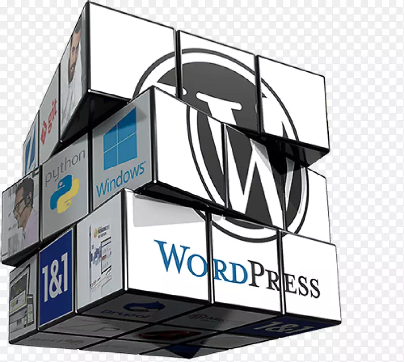 网络托管服务1&1互联网WordPress网络托管服务网站开发-WordPress
