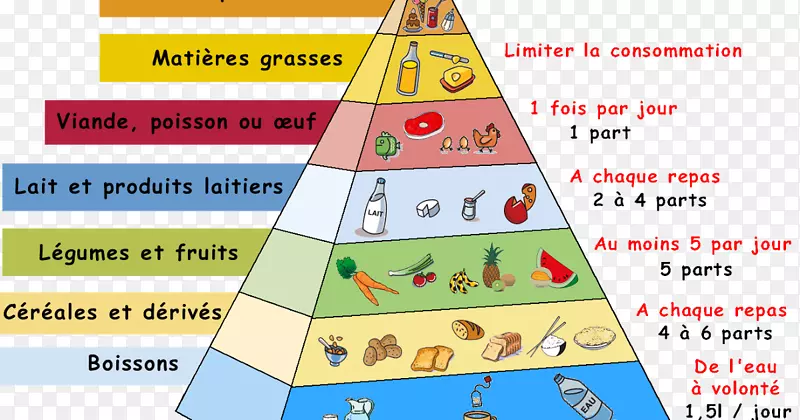 食物金字塔-吃营养.食物金字塔组