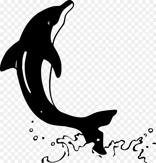 海洋海豚虎鲸动物海狮扇贝海豚水彩