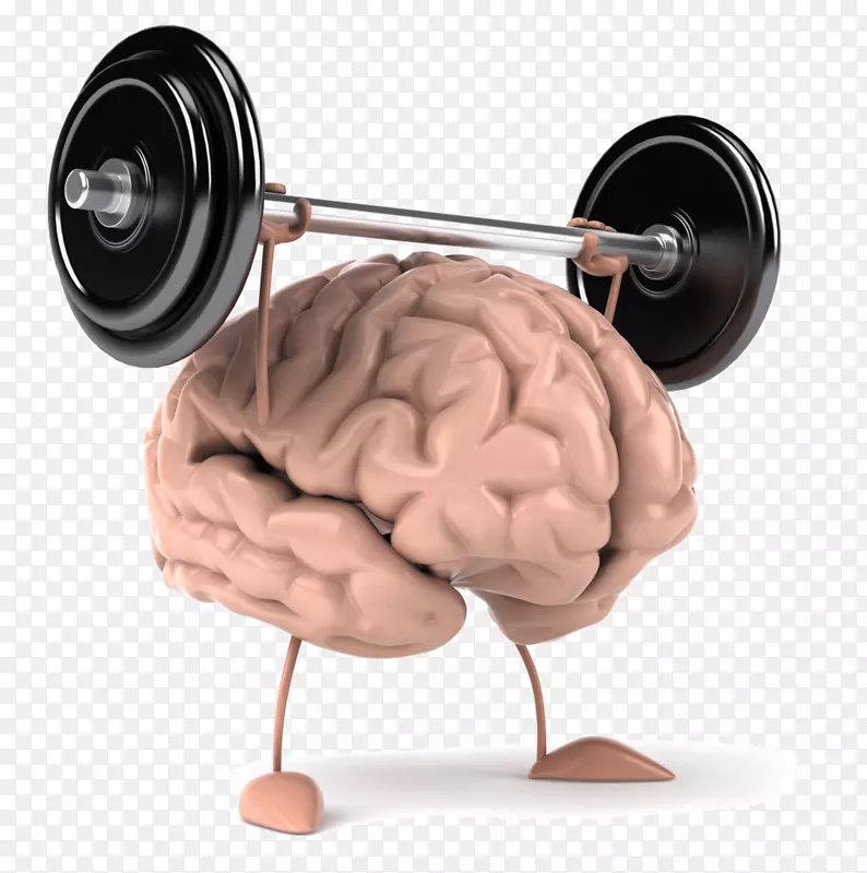 举重训练脑练习奥林匹克举重力量训练-大脑