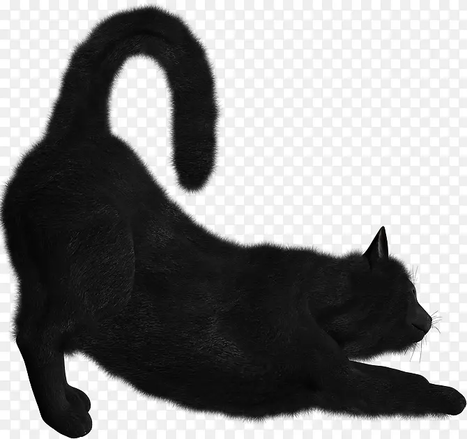 孟买猫挪威森林猫暹罗猫剪贴画-小猫