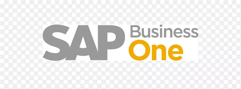 sap业务一企业资源规划中小型企业sap se-业务