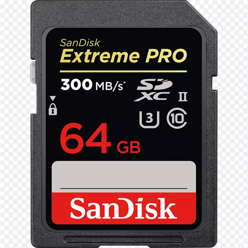 闪存卡安全数字SanDisk极限专业卡闪存