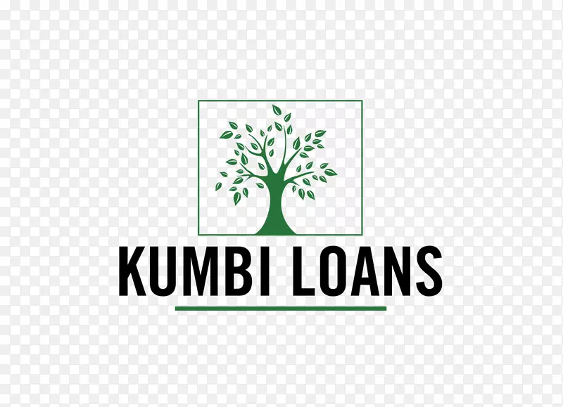 Kumbi在发薪日贷款出错时向赞比亚提供贷款-发薪日贷款