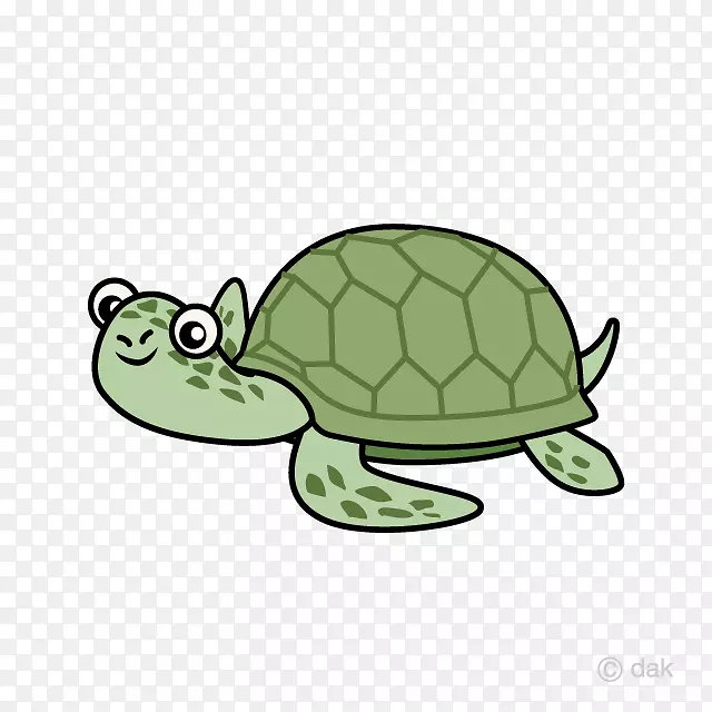 龟剪贴画-海龟