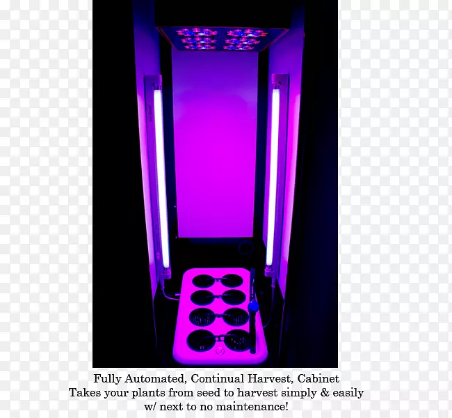 产品设计紫色字体盒