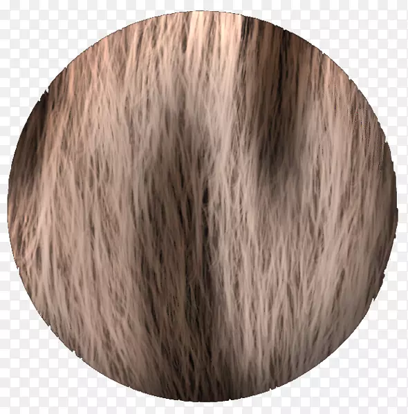 人类头发颜色染发永久物和矫直剂ombré-头发