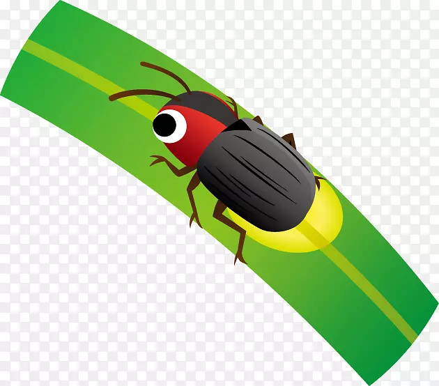 昆虫插图剪贴画萤火虫产品设计.昆虫
