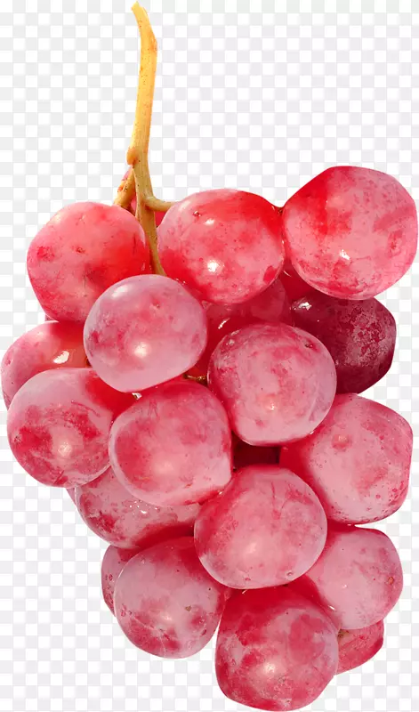 葡萄无籽果蔬食品葡萄