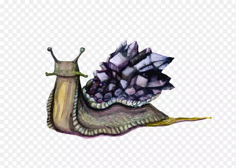 紫蜗牛