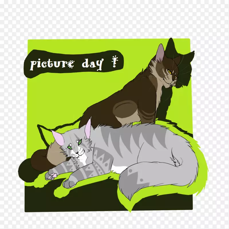 胡须猫插图卡通-猫