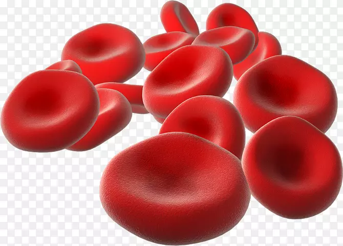 红细胞生命-血细胞