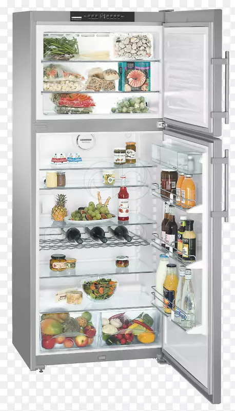 冰箱利勃海尔ctnes 4753高级自动解冻利勃海尔集团-冰箱