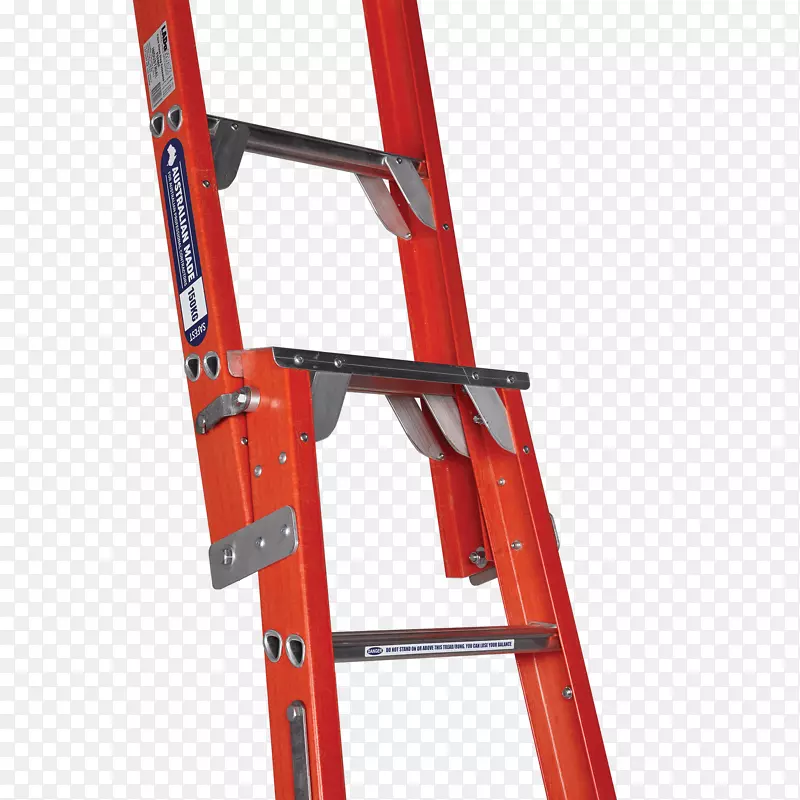 Steiger en梯专业产品设计脚手架-梯子