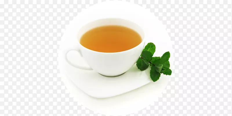 绿茶花茶饮料.绿茶口味