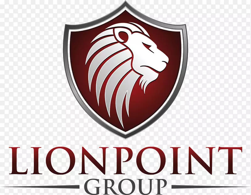 Lionpoint集团有限责任公司管理公司业务私人股本技术投资
