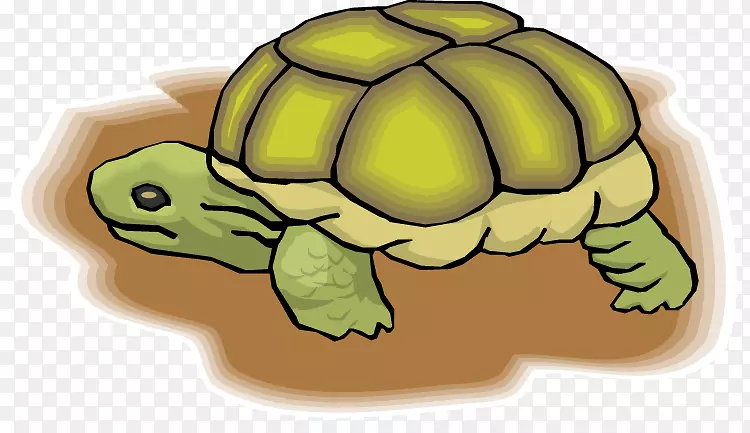 海龟剪贴画-海龟蛋
