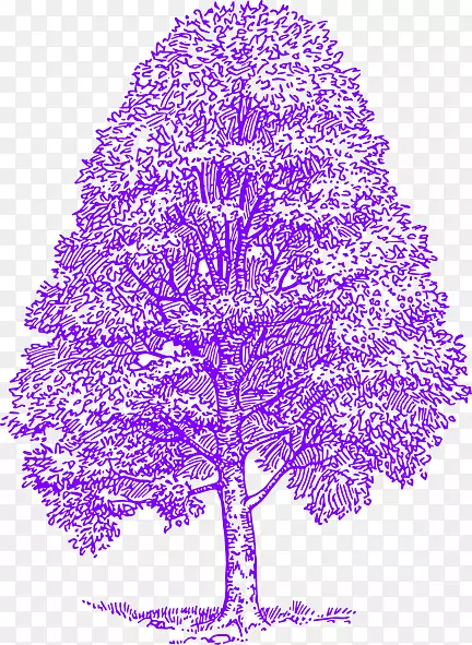 剪贴画树图形绘制雪松紫色枫树