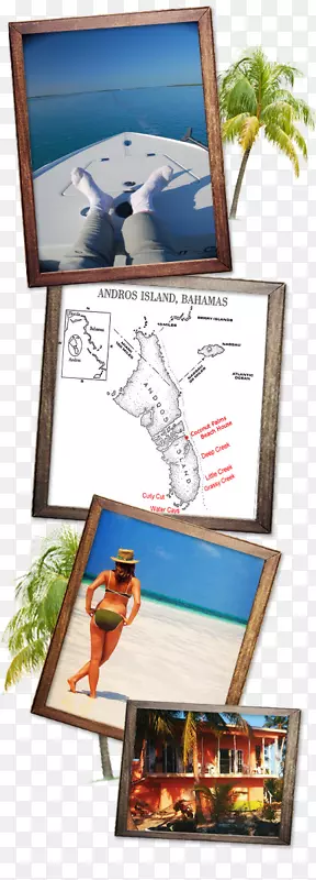 南仙女座鱼竿图片框海滩-微风度假胜地巴哈马