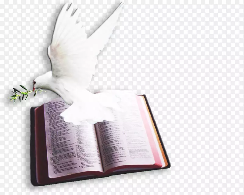 圣经诗篇中的章节和经文，鸽子作为象征，鸽子和鸽子-上帝