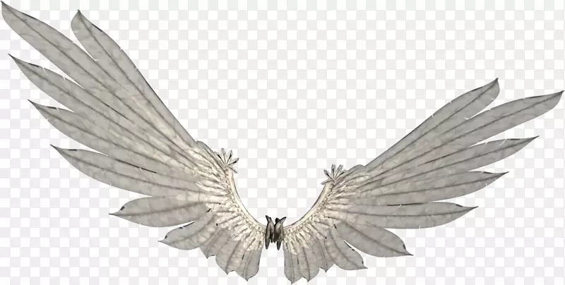 翅膀剪贴画png网络显像机摄影机械翅膀毛刺