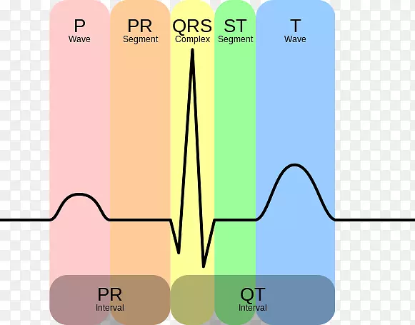 心电图窦性Qt间期QRs复合心电试验