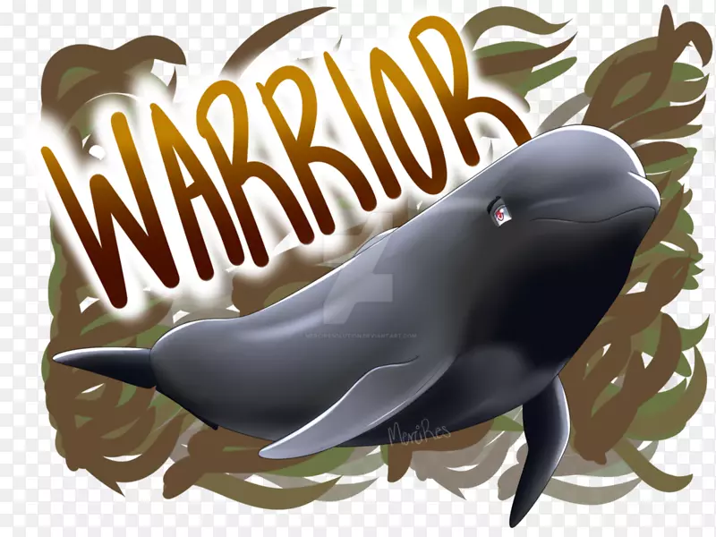 海豚短鳍领航鲸脊椎动物.错误引号