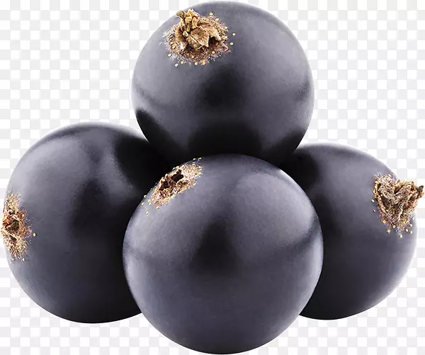 黑醋栗，浆果，蓝莓，浆果
