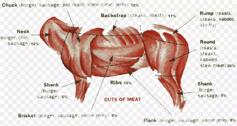鹿肉、猎鹿肉、牛腰肉、麋鹿肉