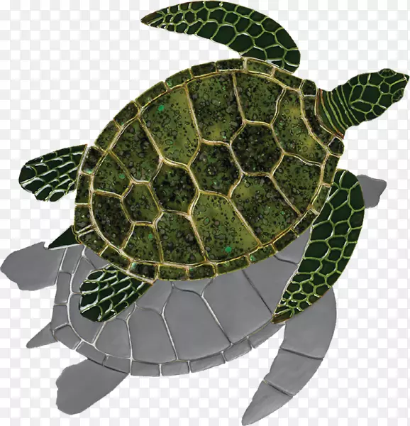 甲鱼龟绿海龟-马赛克海龟