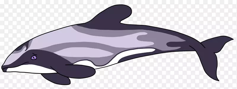 毛伊岛海豚鲸类动物夹艺术沙漏海豚