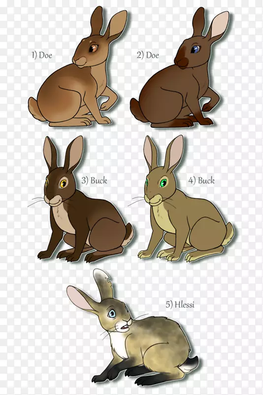 家养兔子滑水兔仔滑水怎么画兔子？