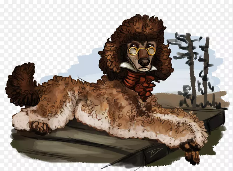 狮子野生动物宠物-水坑狗