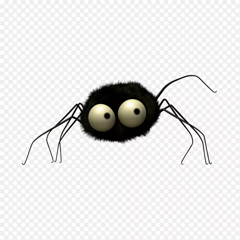 黑屋蜘蛛蚂蚁瓢虫跳蛛