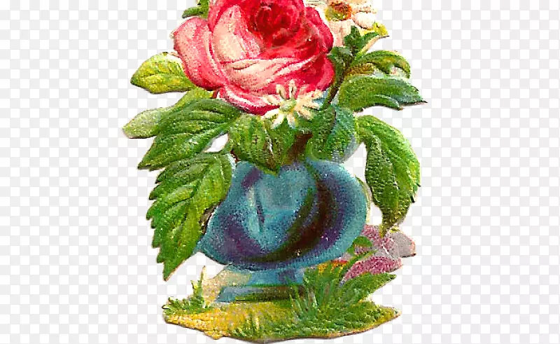 花园玫瑰、甘蓝、玫瑰、花型、切花、花盆-盛开的菜园