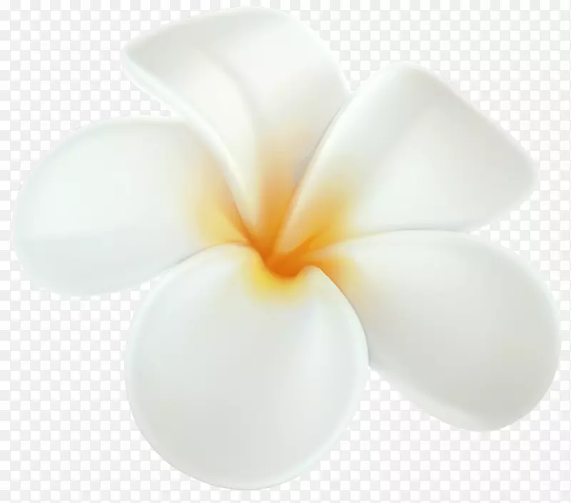 夏威夷弗兰吉帕尼剪贴画花卉png图片.弗兰吉帕尼