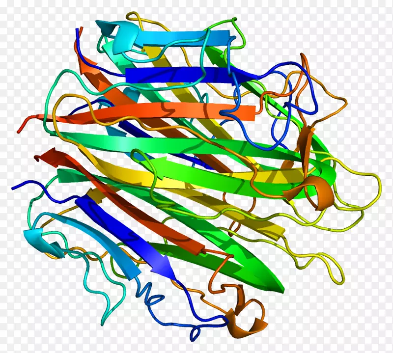 胶原，VIII型，α1型胶原，VIII型，α2α型胶原蛋白
