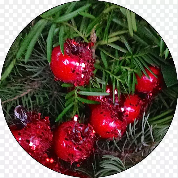 圣诞节装饰松树家庭圣诞节-红牡丹
