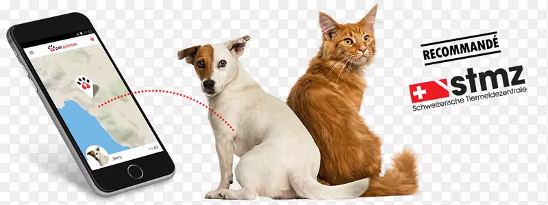 猫狗宠物微芯片植入GPS跟踪装置-创意宠物狗