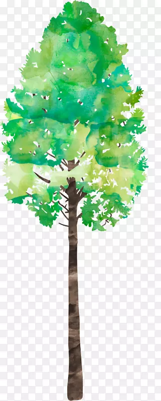 松科叶植物茎-水彩树