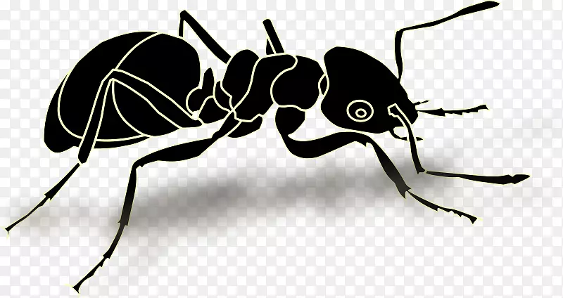 蚂蚁昆虫图形剪贴画插画.Formiga Preta