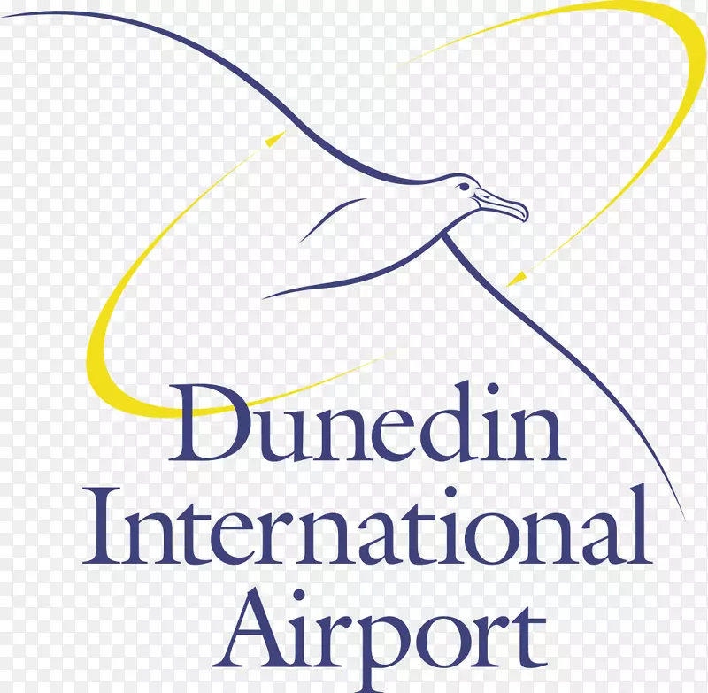 邓尼丁机场降落国际机场