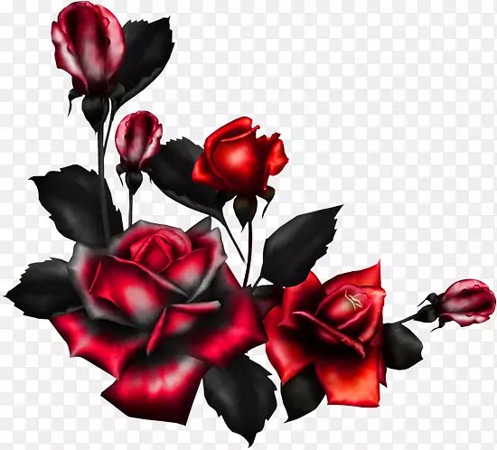 玫瑰剪贴画png图片花卉图像-玫瑰