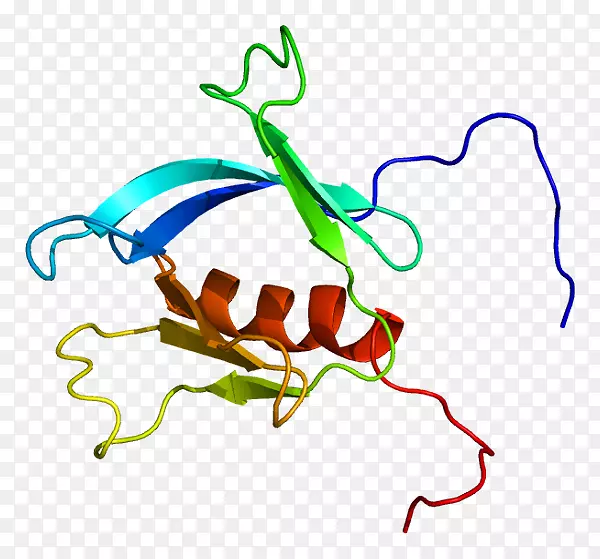 蛋白质pleckstrin同源区基因人