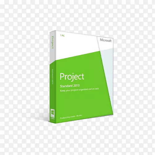 微软项目2013微软visio微软公司微软办公室-微软项目章程模板